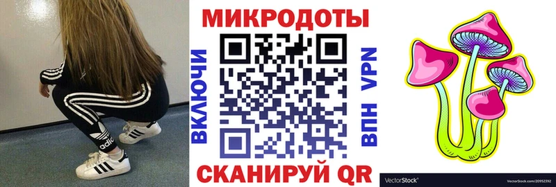 hydra как войти  продажа наркотиков  Нижняя Тура  Псилоцибиновые грибы Psilocybe 